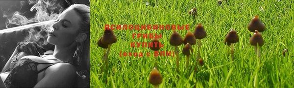 бошки Навашино