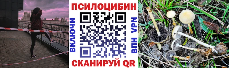 Псилоцибиновые грибы прущие грибы  купить закладку  Иланский 